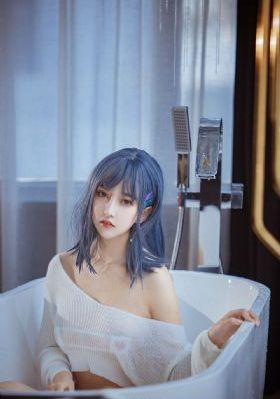 拜访者