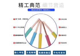 WDZB-BYJ  型號：0.75mm²²～240mm²²